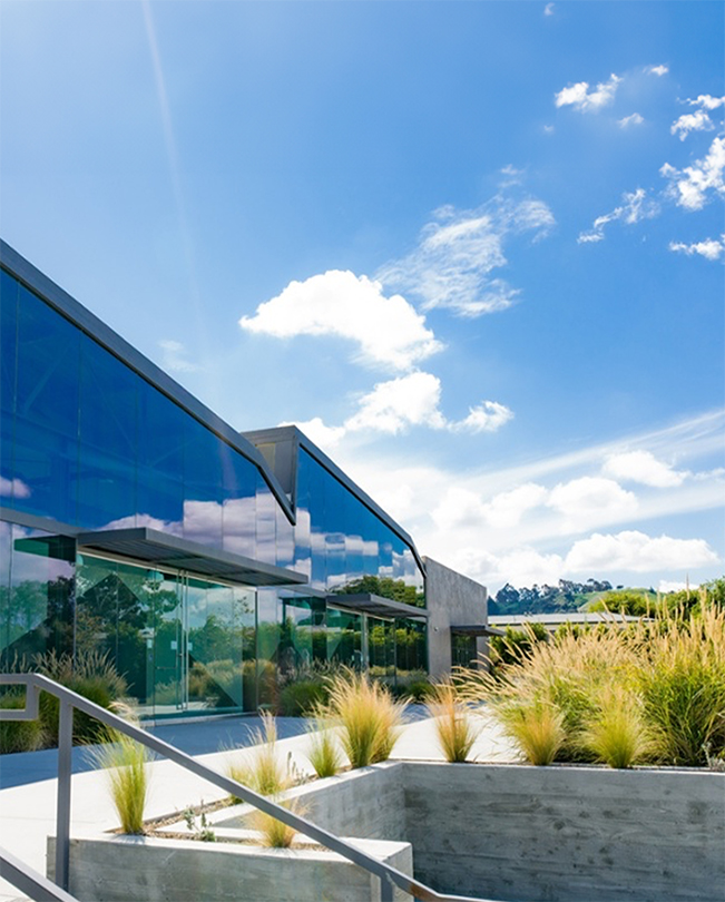 Un chemin piéton bordé de végétation au premier plan et des bureaux?Apple avec des fa?ades en verre en arrière-plan.