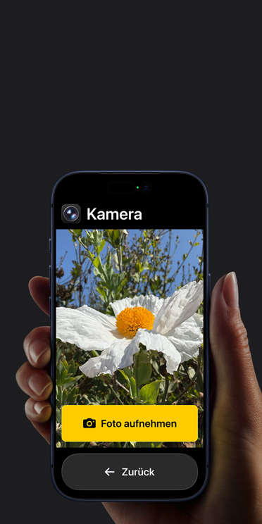 Ein iPhone 17 Pro Bildschirm mit vereinfachter Benutzeroberfl?che der Kamera App und einer wei?en Blume im Bildausschnitt, darunter die Taste ?Foto aufnehmen“ und der Taste ?Zurück“