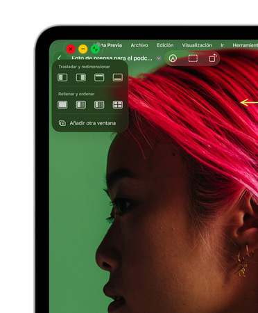 Controles de ventana, con botón rojo para cerrar, botón amarillo para minimizar y botón verde para ampliar, además de opciones para mover, organizar o cambiar el tama?o de las ventanas