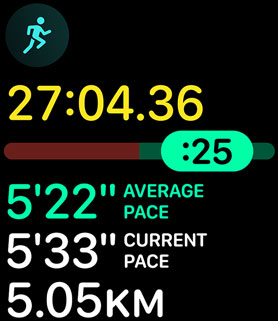 Running form metrics providing the person?s pace and distance.