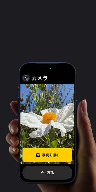 iPhone 17 Proの畫面に表示されている簡略化されたカメラアプリのインターフェイス。フレームに入った白い花の下に「寫真を撮る」ボタンと「戻る」ボタンが表示されている