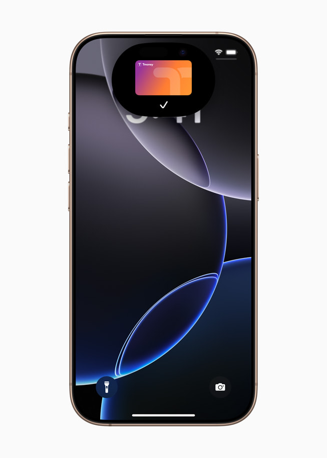 ??? iPhone 16 Pro ??? ??? '????? ??'? Apple Pay ??? 