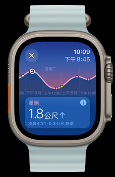 潮汐 app 顯示漲潮、退潮、滿潮和乾潮資訊。
