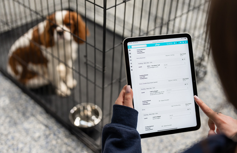 El iPad permite a los cuidadores actualizar en tiempo real los datos de las mascotas, como la alimentación y los medicamentos que toman, a través de Gingr, una app para la administración de negocios de mascotas.