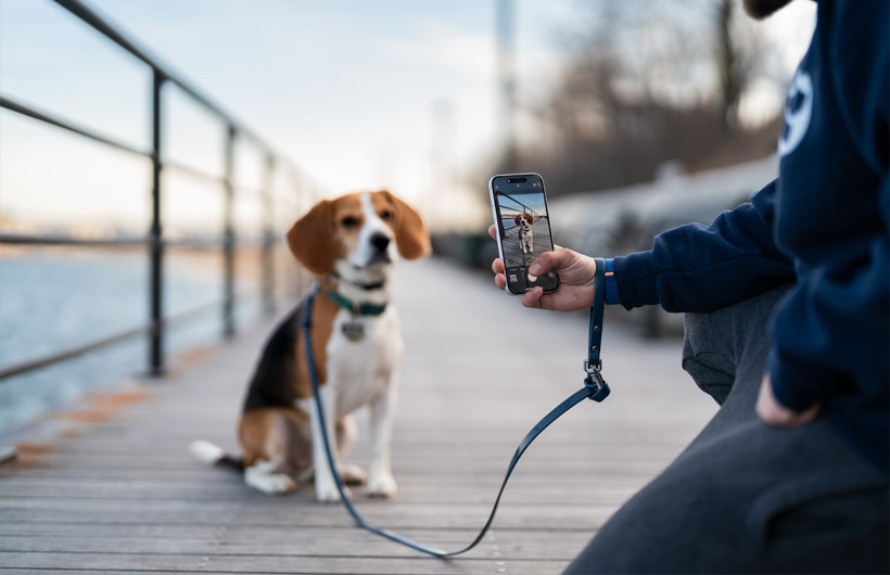 iPhonen laadukas kamera viimeistelee omistajille laaditut raportointikortit lemmikeist?.