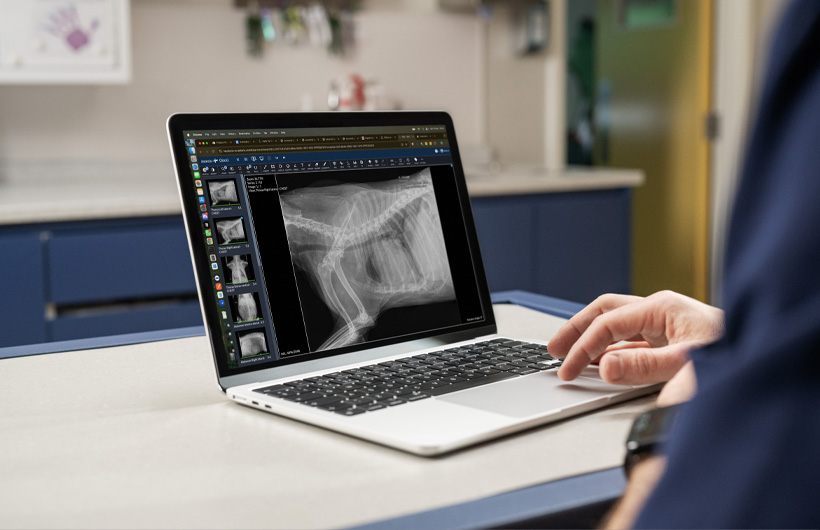 Yksityiskohtaiset r?ntgen- ja ultra??nikuvat n?kyv?t reaaliajassa MacBook Airissa.